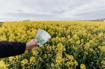 Asta BTP Short Notizie Ultima Ora Notizia Finanza News Economia oggi